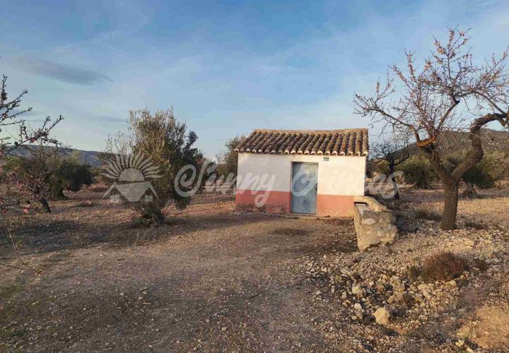 Grond in Biar, Alicante, Biar - € 65.000 | Ref: SF0442 - foto 1